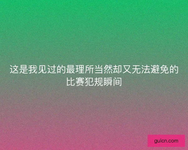 这是我见过的最理所当然却又无法避免的比赛犯规瞬间