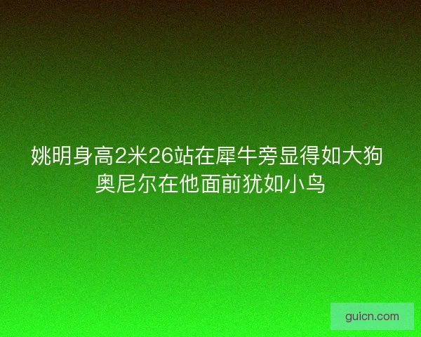姚明身高2米26站在犀牛旁显得如大狗 奥尼尔在他面前犹如小鸟