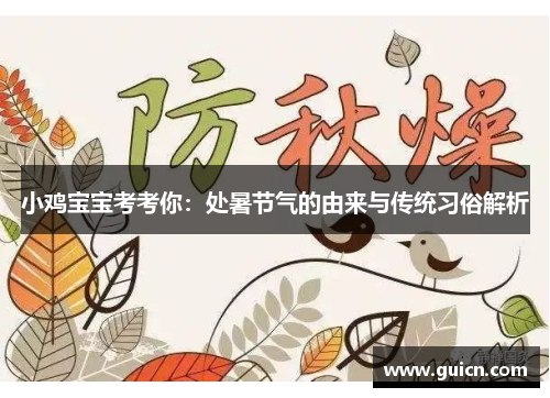 小鸡宝宝考考你：处暑节气的由来与传统习俗解析