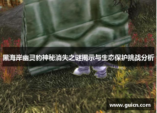 黑海岸幽灵豹神秘消失之谜揭示与生态保护挑战分析