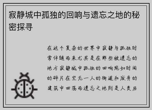 寂静城中孤独的回响与遗忘之地的秘密探寻